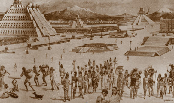 Imagen del hito: Ausencia de cultivo