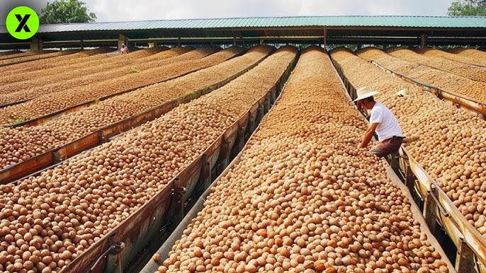 Imagen del tema: Usos industriales