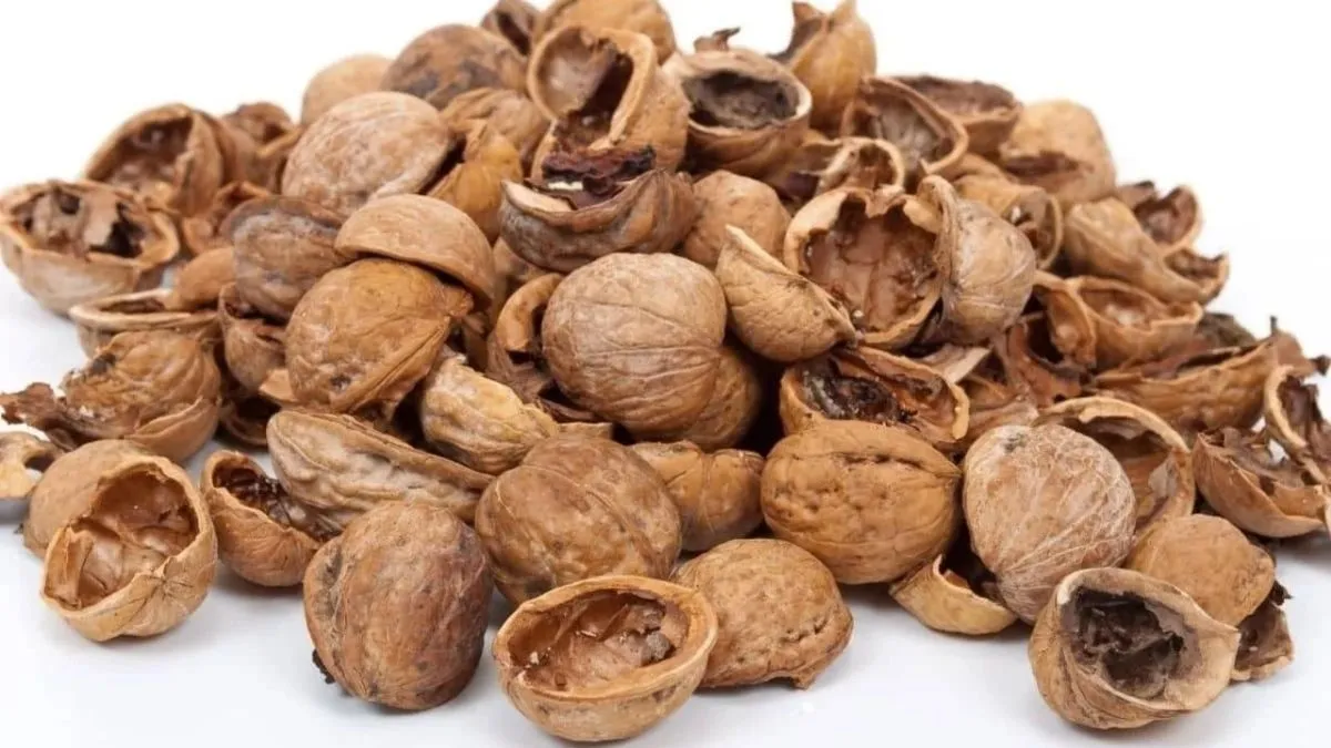 Imagen de la fruta: Cáscara de nuez